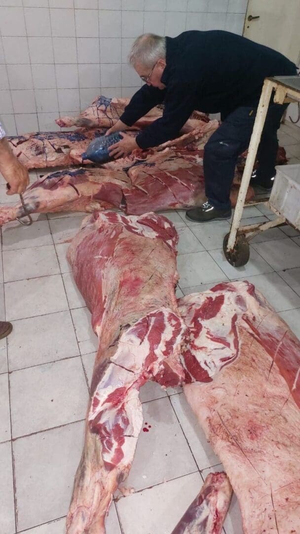 Villa Cañás: Decomisaron 650 kg de carne vacuna en múltiples inspecciones en carnicerías