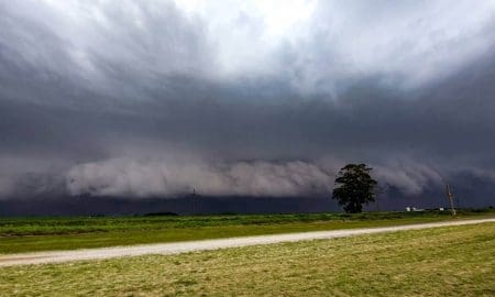 Alerta por tormentas: Pronostican lluvias intensas y ráfagas para el fin de semana