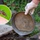 Se detectó el primer caso autóctono de dengue en la provincia de Santa Fe