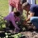 Villa Cañás y María Teresa se unen a través de un Corredor de Biodiversidad