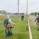 Provincia licita 25 zonas para mejorar el corte de pasto en sus rutas