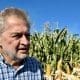 Mirabella presenta proyecto de ley para eliminar las retenciones agropecuarias