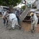 Venado Tuerto: Notorio crecimiento de las cuadras pavimentadas en el periodo 2021-2024