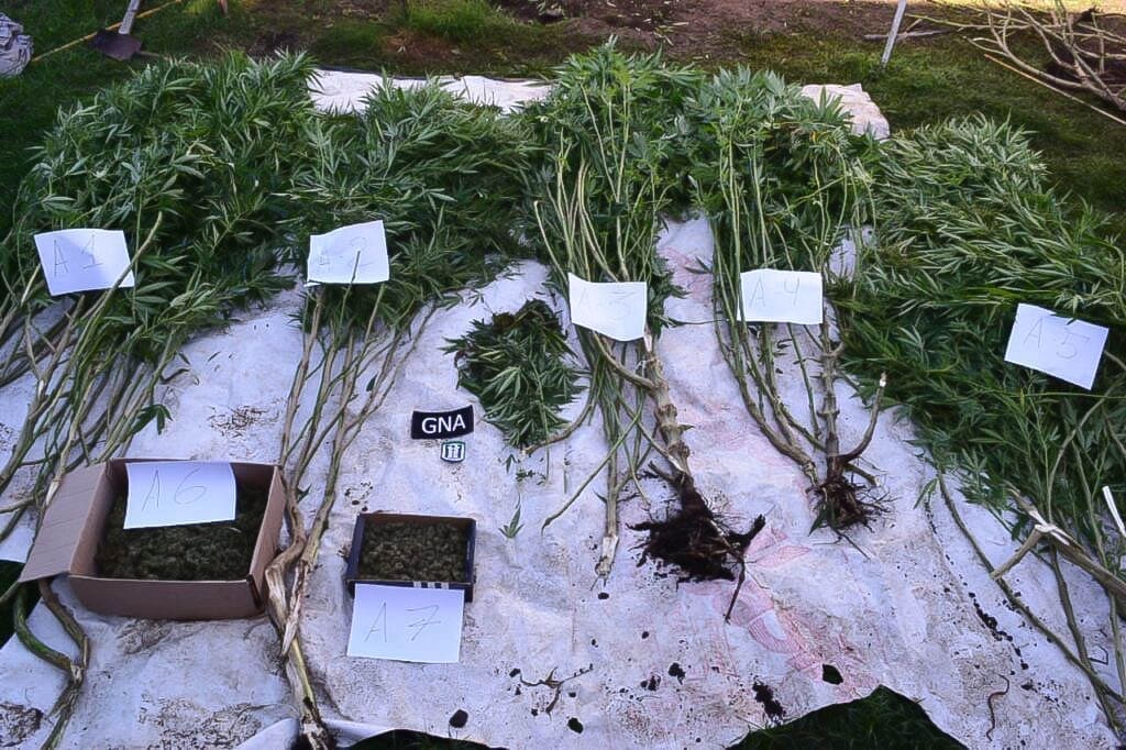 Villa Cañás: Importante operativo antidroga tras denuncias en Buzones de la Vida
