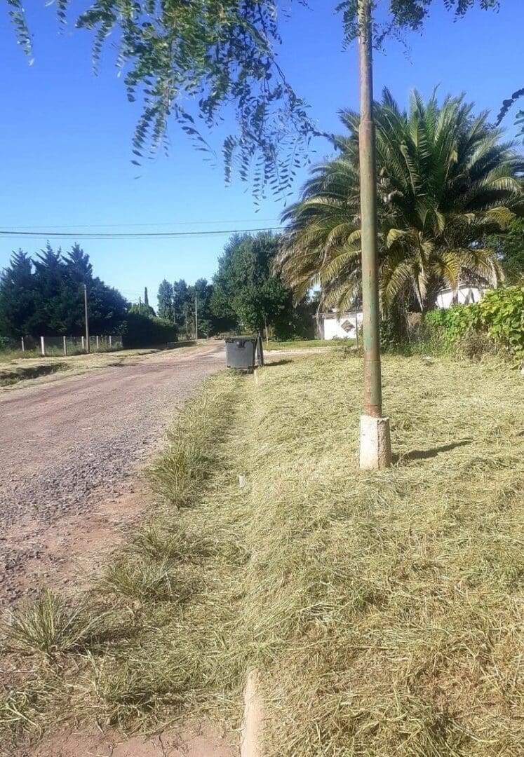 Villa Cañás: Nueva encuesta evidencia estancamiento, expectativas incumplidas y reclamos sin atender en los barrios