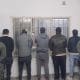 Abigeato agravado en Santa Isabel: Cinco detenidos por faena ilegal de porcinos