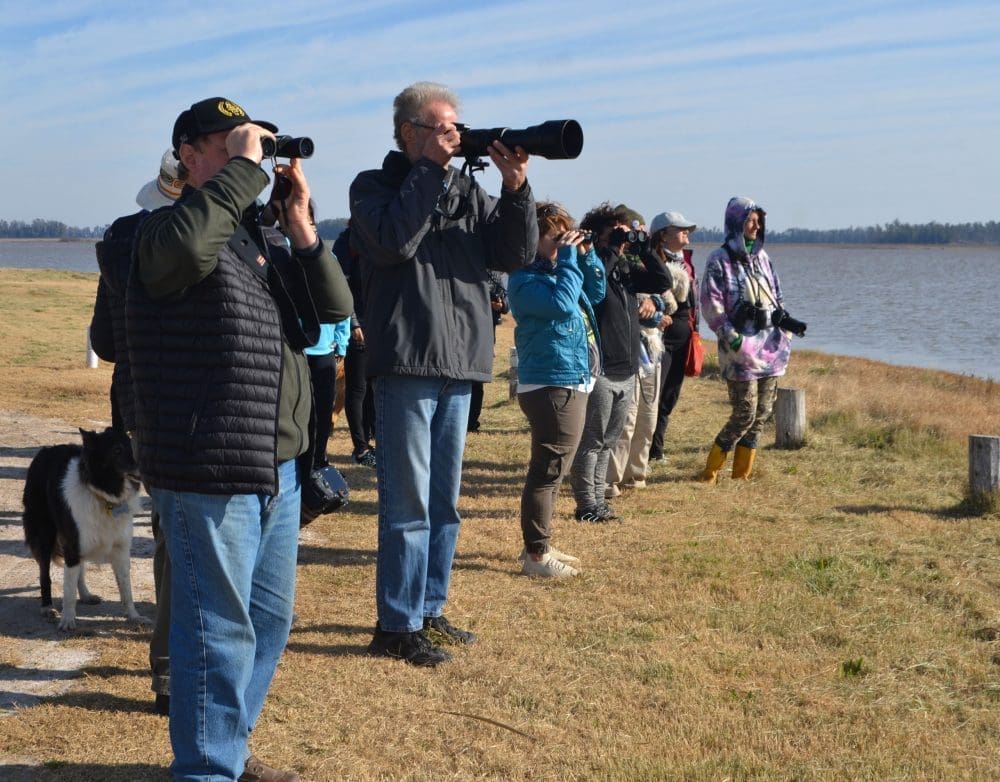 Villa Cañás: Nueva jornada de observación de aves en el Balneario