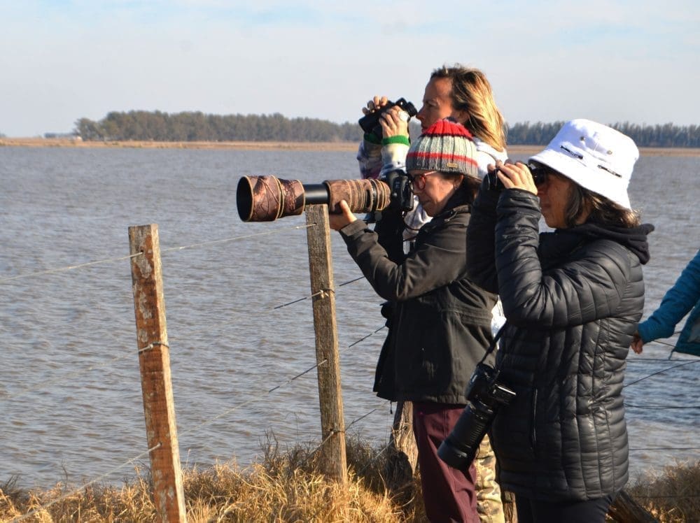 Villa Cañás: Nueva jornada de observación de aves en el Balneario