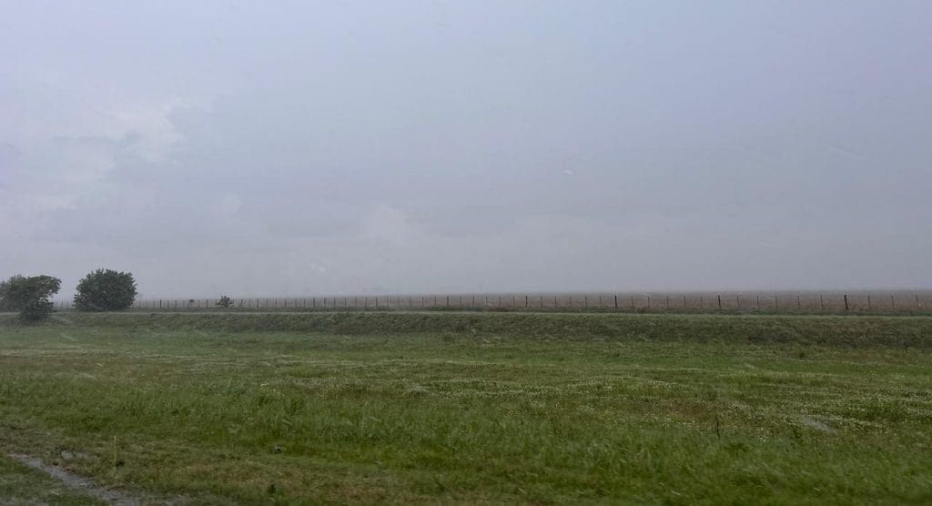 Lo que dejó Santa Rosa: ¿Cuál fue el impacto en el campo de las lluvias del fin de semana?