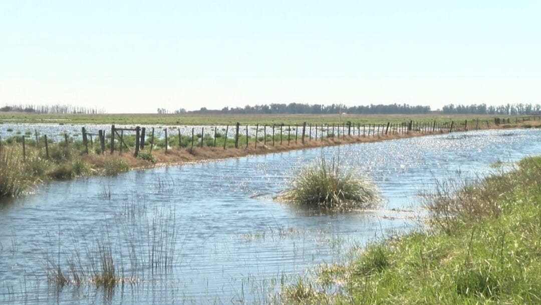 A una semana de la inundación, María Teresa reclama ayuda urgente para 1.500 familias afectadas A una semana de la inundación, María Teresa reclama ayuda urgente para 1.500 familias afectadas