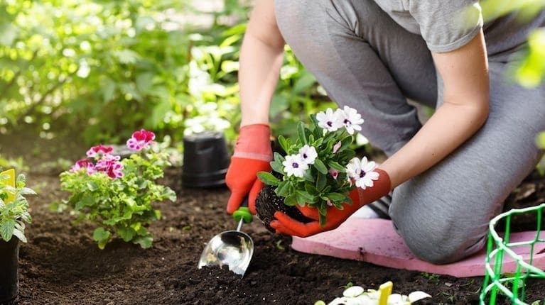 Se viene el curso de jardinería impulsado por la senadora Di Gregorio