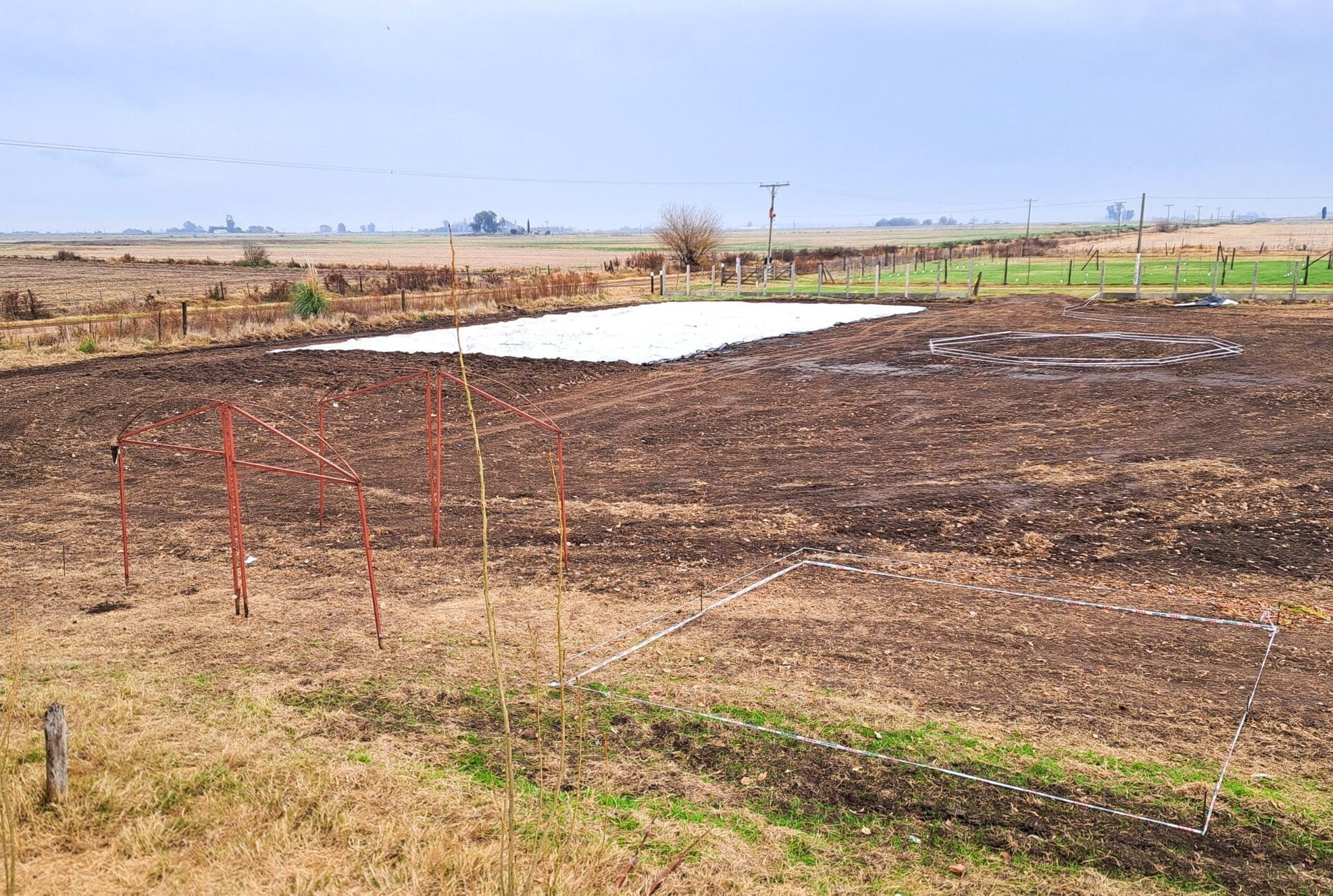 Villa Cañás transformará hojas y residuos verdes en nuevos árboles para la ciudad