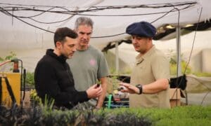 Corsalini: “Las soluciones a los problemas de Santa Fe van a llegar desde el territorio”