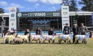 ExpoVenado 2026 se prepara para celebrar sus 90 ediciones