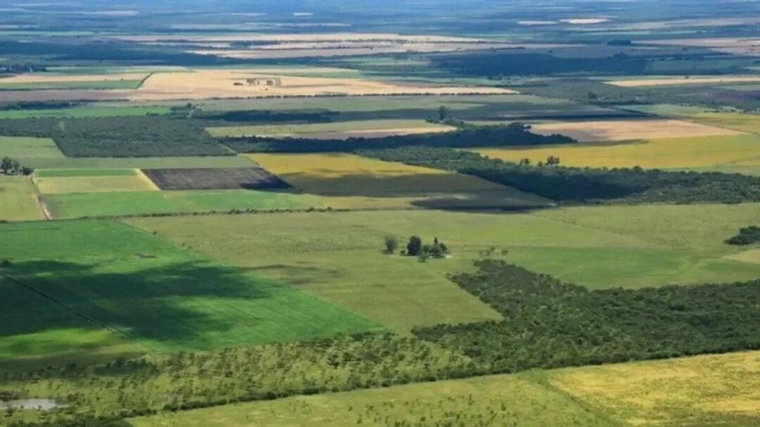 Santa Isabel debatirá el impacto del proyecto de Ley de Tierras