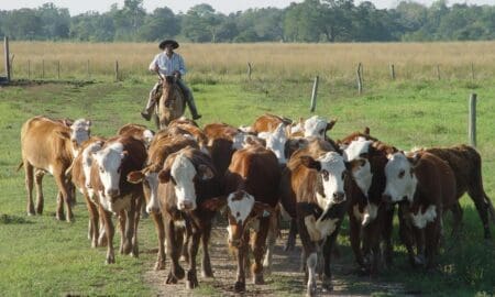 Empleo rural: Abrieron la inscripción para buscar trabajo