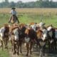 Empleo rural: Abrieron la inscripción para buscar trabajo