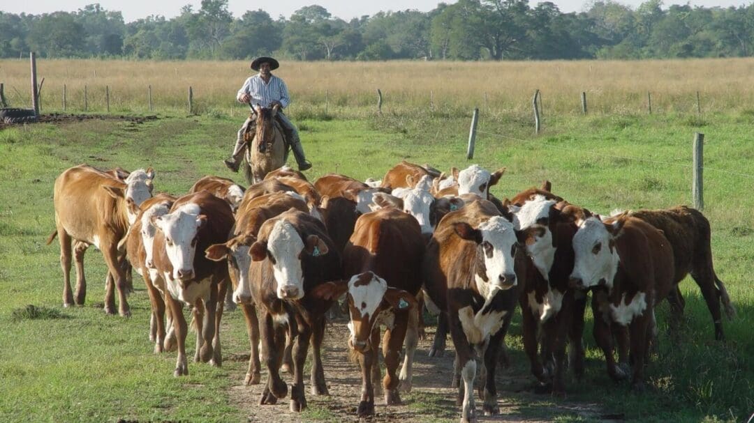 Empleo rural: Abrieron la inscripción para buscar trabajo