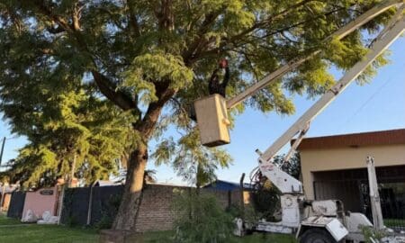 Venado Tuerto: Corte de luz programado por poda en media tensión