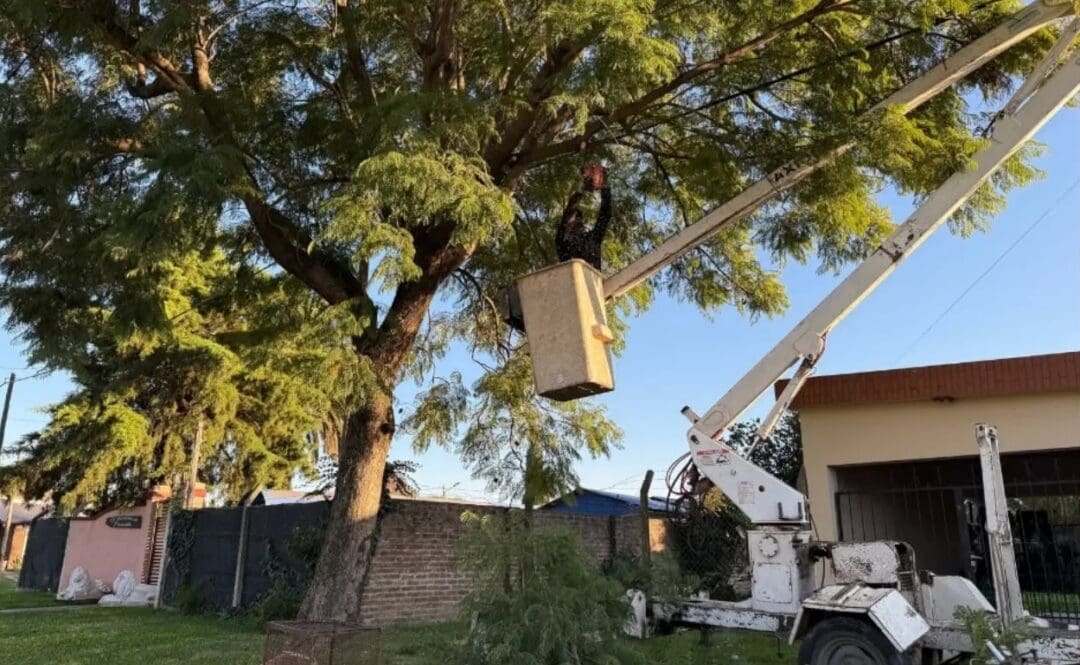 Venado Tuerto: Corte de luz programado por poda en media tensión